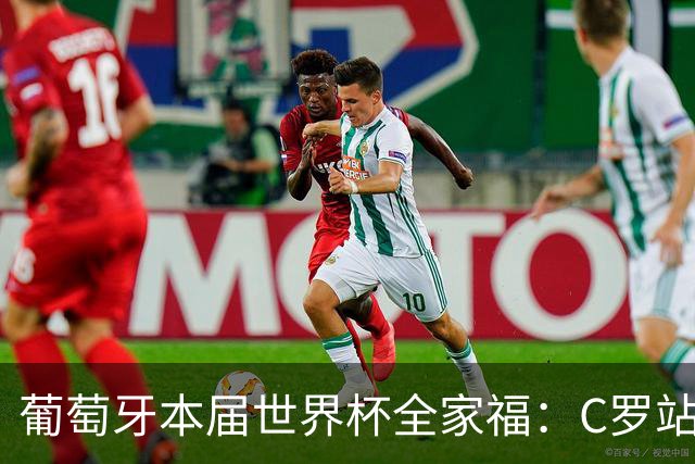 葡萄牙本届世界杯全家福：C罗站在后排C位，B席坐在第一排中间